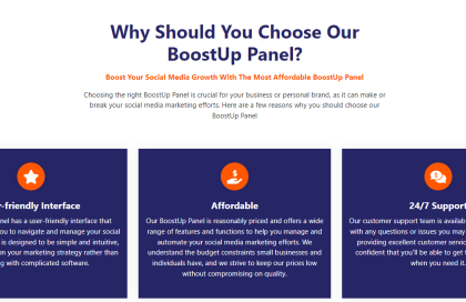 boostupanel-homepage-2