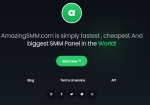 AmazingSMM